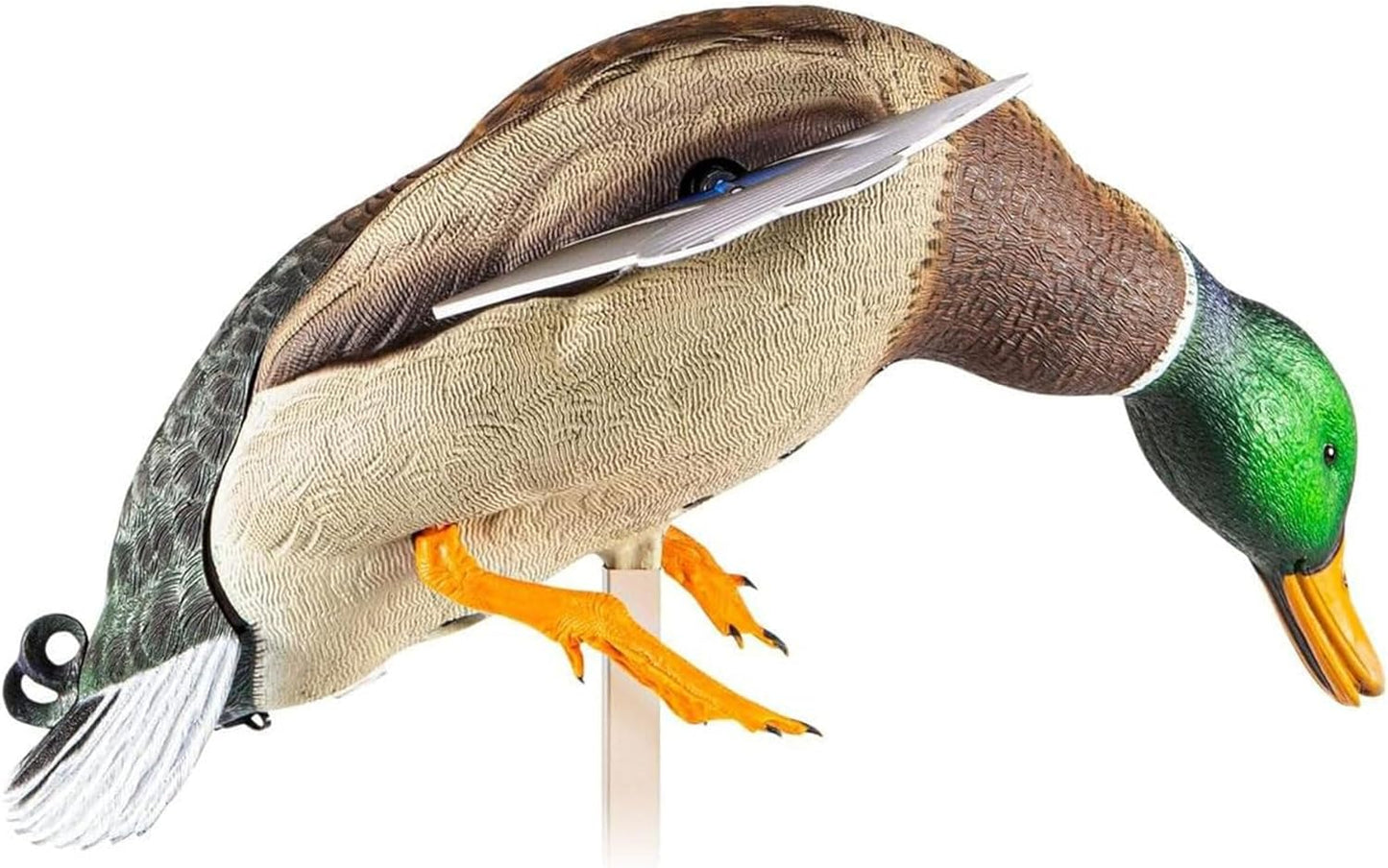 Avian X Powerflight Smart Motion Mallard Spinning Wing Realistic Duck Decoy