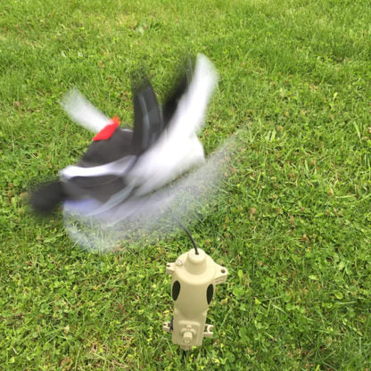 Icotec ICO30200 PD200 Universal Predator Decoy