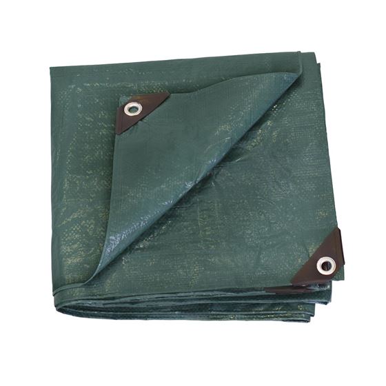 Stansport T2030 Reinforced Multi-Purpose Tarp 20' x 30' - Green