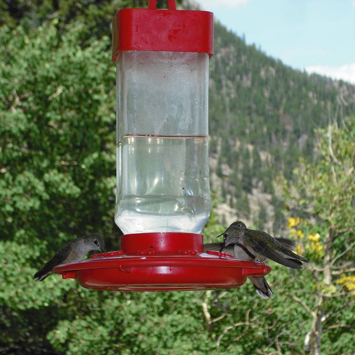 First Nature 32 oz. Hummingbird Feeder 993055446