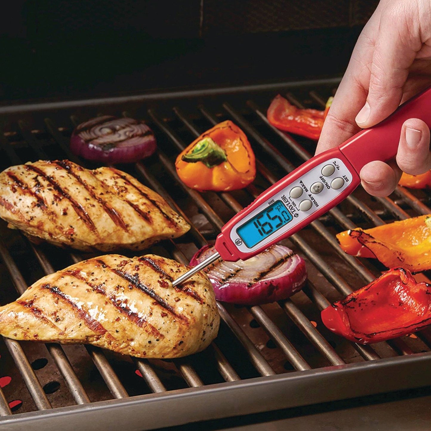 TAYLOR 806GW Waterproof Digital Thermometer