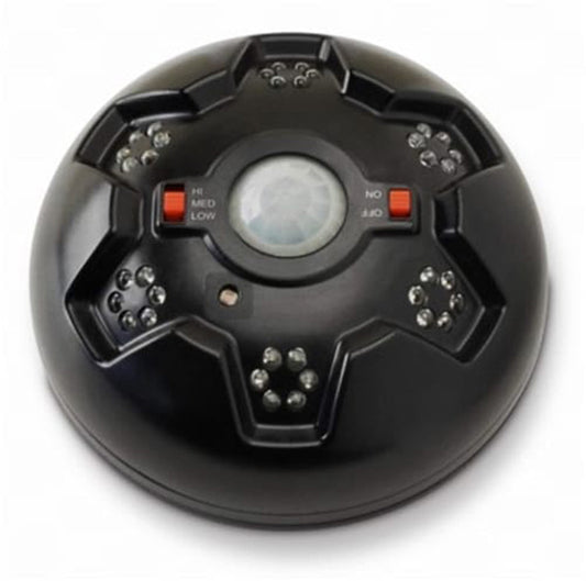 American Hunter AHHOGLITE Swine Shine Hog Light