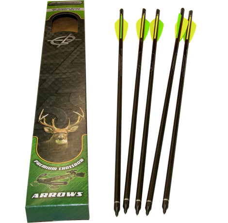 Barnett BAR16079 22" Headhunter Arrows