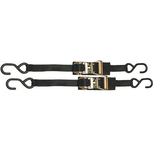 BoatBuckle F14209 Ratchet Transom Utility Tie-Downs (Pair)
