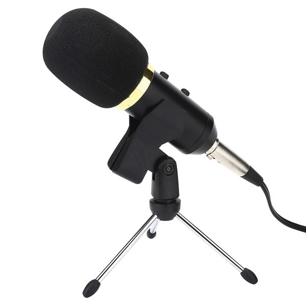 Blackmore Pro Audio BMP-21 BMP-21 USB Cardioid Condenser Microphone
