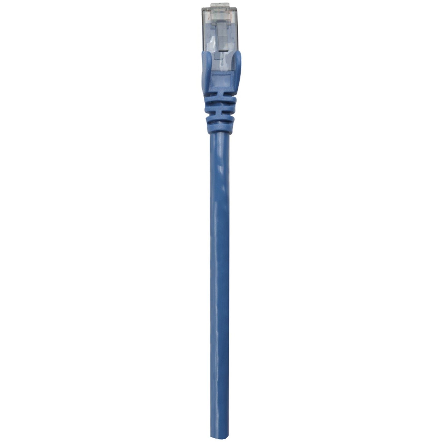 Intellinet Network Solutions 342438 CAT-6 Patch Cable, 50ft